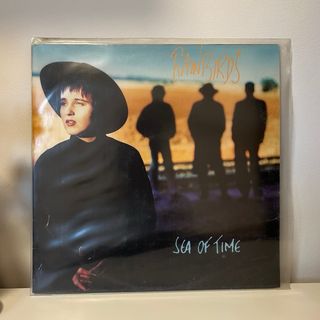 Rainbirds Vinili - confezione