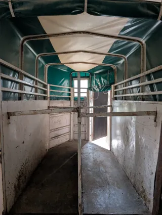 Remolque transporte animales vivos