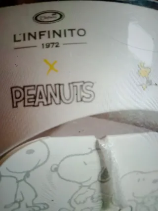 Magneti Snoopy e Charlie Brown in porcellana