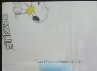 Magneti Snoopy e Charlie Brown in porcellana