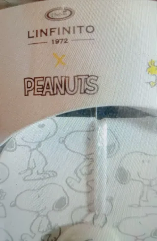 Magneti Snoopy e Charlie Brown in porcellana