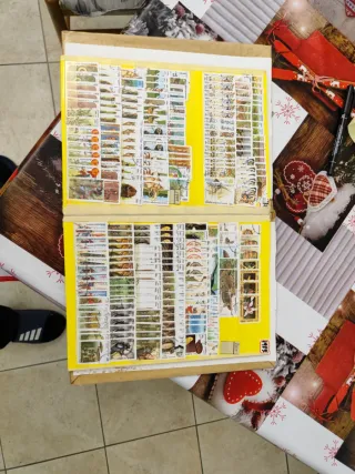 Volume 98 Francobolli