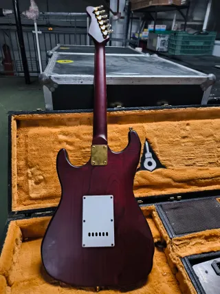 Guitarra Calaveras Luthier  Antonio Otsai