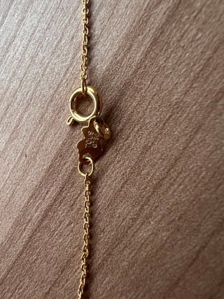 Collar Oro 18kt Bold Bear