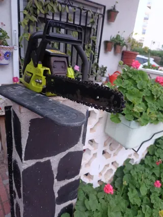 Motosierra poulan 2050