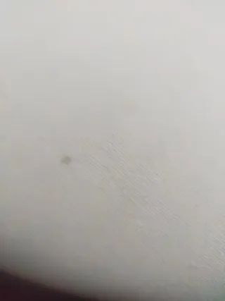 Sofá 2 plazas madera maciza y tela beige