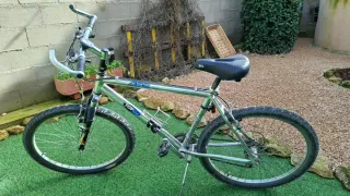 Bicicleta de Montaña Aligator