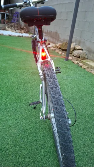 Bicicleta de Montaña Aligator