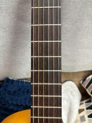 Guitarra Alhambra 3F CT E1 Electrificada Fishman