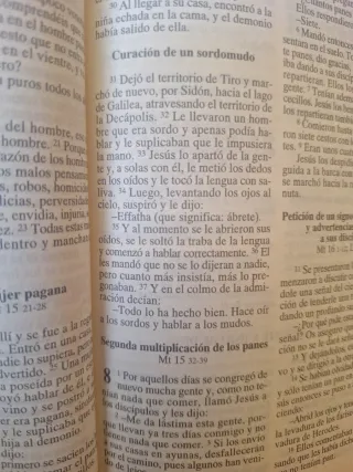 Libro Nuevo testamento, edición popular