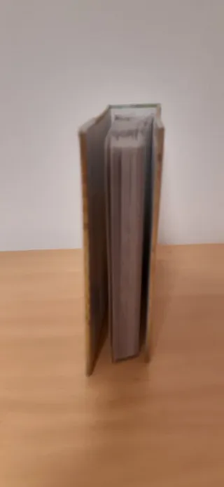 Álbum de fotos decorativo