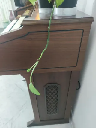 Pianoforte verticale Organo Viscount Colorado