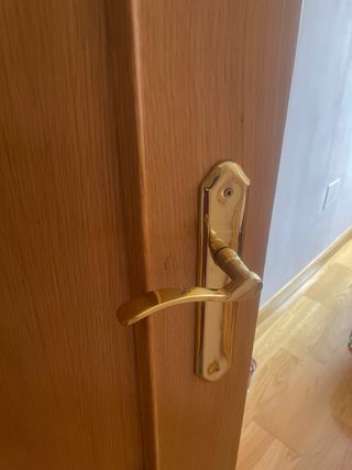 Puerta de roble 5+1+1(doble salón cristal)