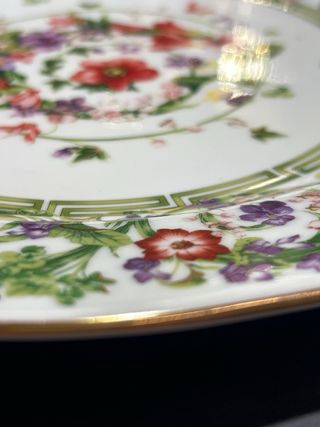 Plato Versace Rosenthal 31cm Floral Fantasy