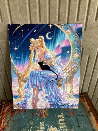 Placa Metal Sailor Moon - Solo envio