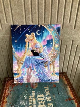 Placa Metal Sailor Moon - Solo envio