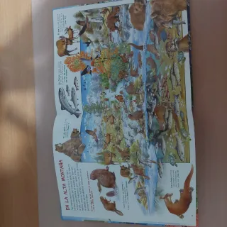 Libro "Busca los Animales Acuáticos" - Susaeta