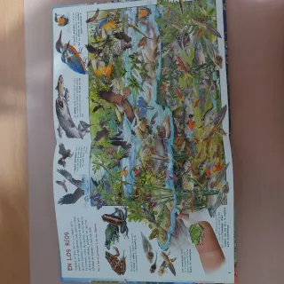 Libro "Busca los Animales Acuáticos" - Susaeta