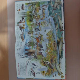 Libro "Busca los Animales Acuáticos" - Susaeta