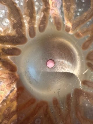 UFIP Tiger Crash 14 (35 cm) Platillo