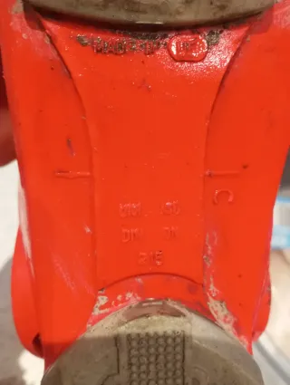 Botas de esquí para niños 21.5