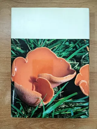 LAS SETAS, GUÍA FOTOGRÁFICA Y DESCRIPTIVA, MENDAZA