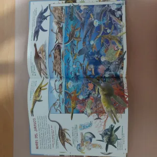 Libro Infantil "Busca los Dinosaurios" - Editorial