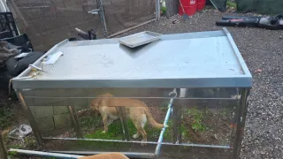 Mostrador de pescadería acero inoxidable