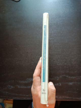 Ruodlieb y huida de un cautivo. Clásicos medievale