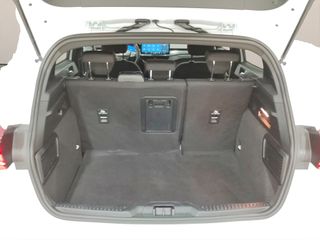 FORD Focus 1.0 Ecoboost MHEV STLine X 125 c.v.