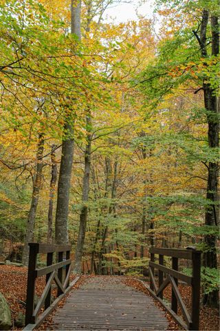 Canon EOS 2000D como nueva