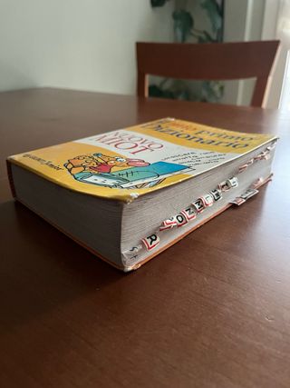 Il mio primo dizionario.