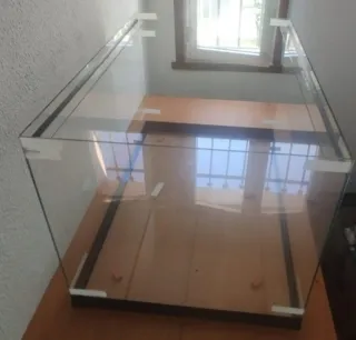 Terrario de cristal . ENTREGA EN PERSONA