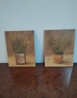 2 Cuadros Decorativos Hierbas