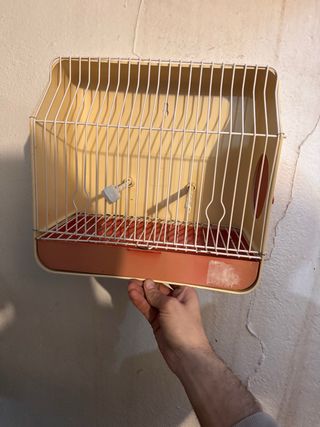 Jaulas de concurso beige y naranja