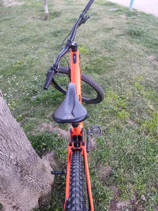 Kenevo SL S4 Talla L 2024