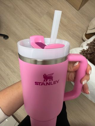 Termo Stanley Rosa con Asa