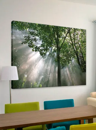 Luz In Crescendo Cuadro/Lienzo (sin bastidor)