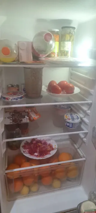 Nevera Selecline plateada