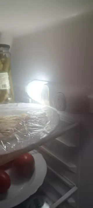 Nevera Selecline plateada