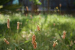 Canon EOS 350D fotocamera digitale con accessori.