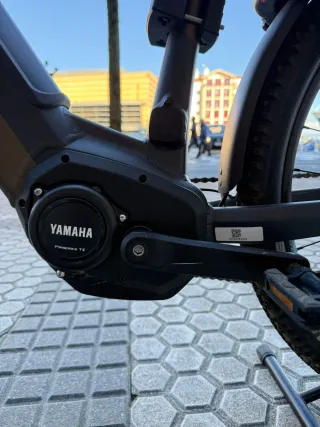 Bicicleta Wheeler Dicross I-Active 200km