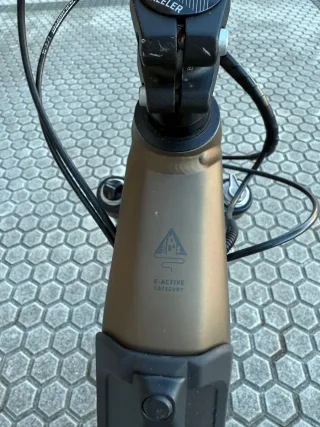 Bicicleta Wheeler Dicross I-Active 200km