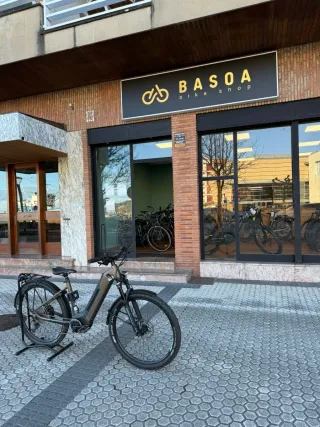 Bicicleta Wheeler Dicross I-Active 200km