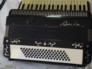 Fisarmonica Nera