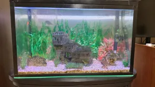 Pecera con mueble negro