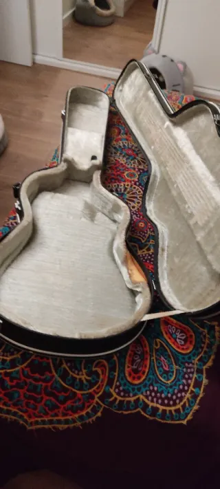 Funda Rígida para Guitarra