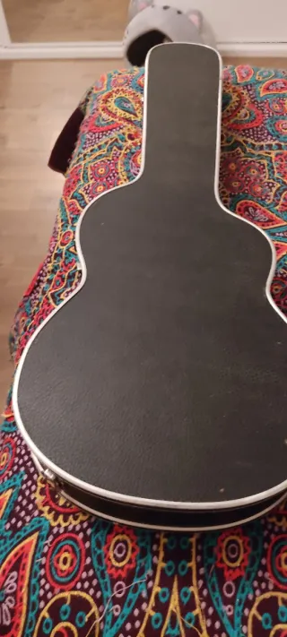 Funda Rígida para Guitarra