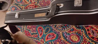 Funda Rígida para Guitarra