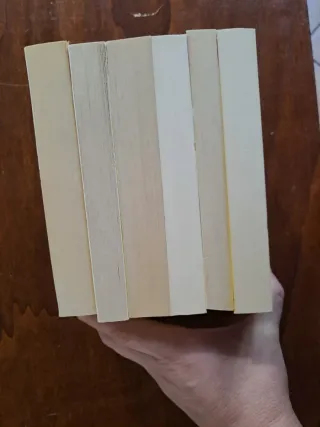 Set 6 libri vintage classici gialli Mondadori